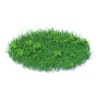 Wild Plants 3D Models Collection - Volume 91 - Image 20