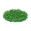 Grass with Plants 3D Model