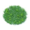 Grass with Plants 3D Model