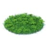 Wild Plants 3D Models Collection - Volume 91 - Image 21