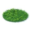 Grass with Plants 3D Model