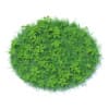 Grass with Plants 3D Model