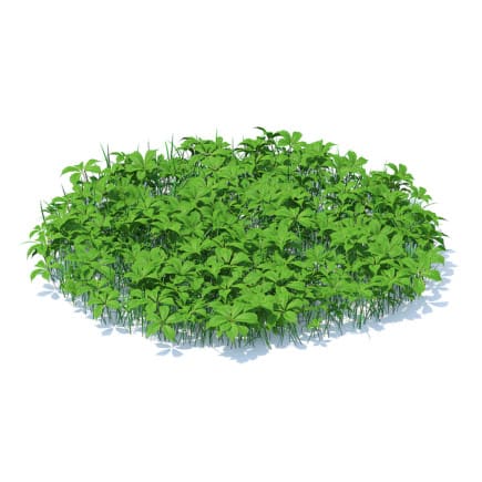Grass with Plants 3D Model