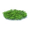 Grass with Plants 3D Model