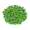 Grass with Plants 3D Model