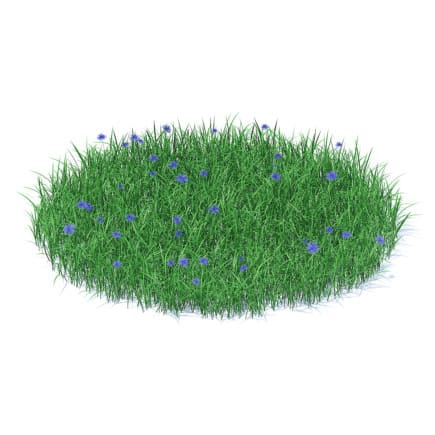 Grass with Cornflowers 3D Model