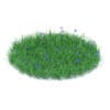 Grass with Cornflowers 3D Model