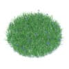 Grass with Cornflowers 3D Model