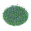 Grass with Cornflowers 3D Model