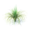 Wild Plants 3D Models Collection - Volume 91 - Image 26
