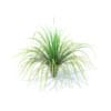 Tall Grass 3D Model
