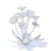 Daisies 3D Model