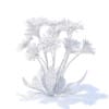 Daisies 3D Model