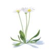 Wild Plants 3D Models Collection - Volume 91 - Image 29