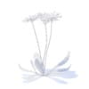 Daisies 3D Model