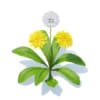 Sow-thistle 3D Model