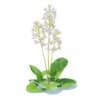 Wild Plants 3D Models Collection - Volume 91 - Image 33