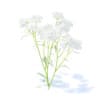 Wild Plants 3D Models Collection - Volume 91 - Image 34