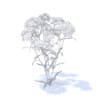 Yarrow 3D Model