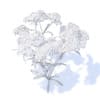 Yarrow 3D Model