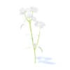 Wild Plants 3D Models Collection - Volume 91 - Image 35