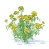 Wild Plants 3D Models Collection - Volume 91 - Image 37