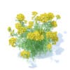 Tansy 3D Model
