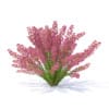 Wild Plants 3D Models Collection - Volume 91 - Image 38