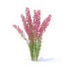 Wild Plants 3D Models Collection - Volume 91 - Image 39