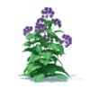 Wild Plants 3D Models Collection - Volume 91 - Image 40