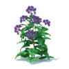 Thistle 3D Model