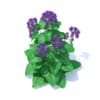 Thistle 3D Model