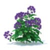 Wild Plants 3D Models Collection - Volume 91 - Image 41
