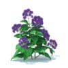 Thistle 3D Model