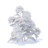 Thistle 3D Model