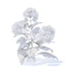 Thistle 3D Model