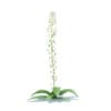 Wild Plants 3D Models Collection - Volume 91 - Image 43