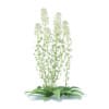 Wild Plants 3D Models Collection - Volume 91 - Image 45