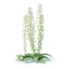 Field Pennycress 3D Model