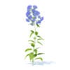 Wild Plants 3D Models Collection - Volume 91 - Image 46