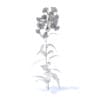 Bellflower 3D Model