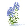 Wild Plants 3D Models Collection - Volume 91 - Image 47