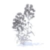 Bellflower 3D Model