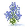 Wild Plants 3D Models Collection - Volume 91 - Image 48