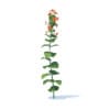 Wild Plants 3D Models Collection - Volume 91 - Image 49