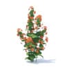 Wild Plants 3D Models Collection - Volume 91 - Image 50