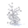 Woodland Forget-me-not 3D Model