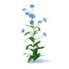 Wild Plants 3D Models Collection - Volume 91 - Image 52