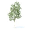 Fruit Trees 3D Models Collection - Volume 95 - Image 6