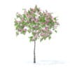 Fruit Trees 3D Models Collection - Volume 95 - Image 21